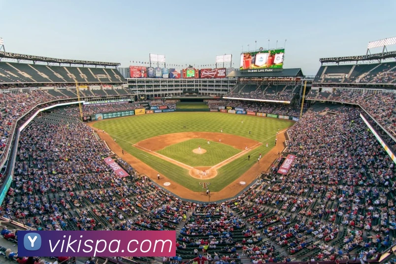 App Interface Preview